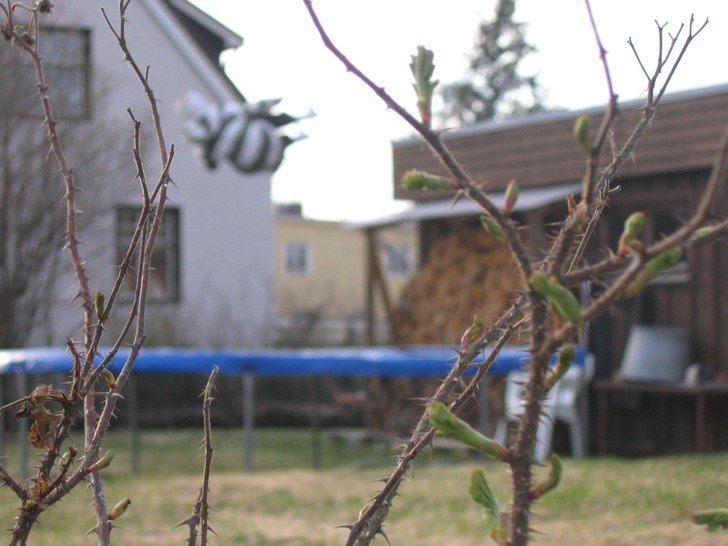 skön kväll :). Foto: viktor nordling. Åkare: m-b-w.