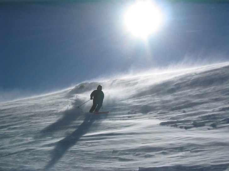 Foto: Johan Jönsson. Åkare: Magnus Olsson.