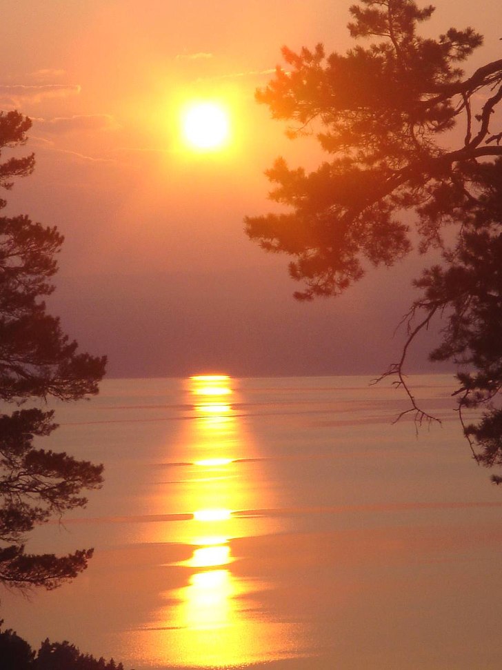 Foto: Malin Svantesson.