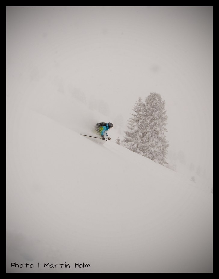 Foto: Martin Holm. Åkare: Maria Jönsson.