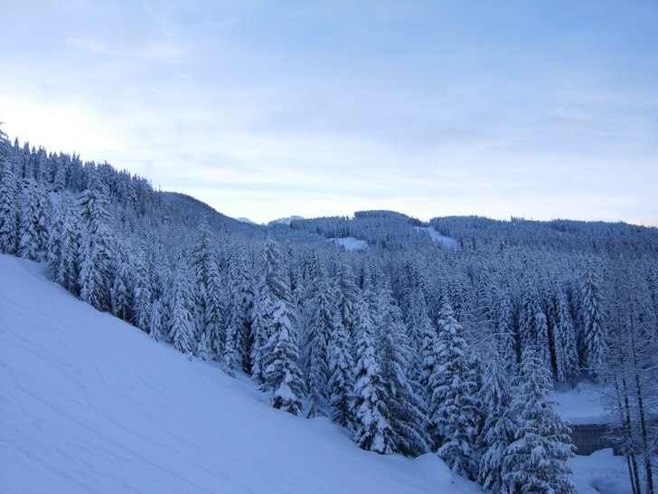 Morgon i Creekside, Whistler. Foto: Emil Rydell.