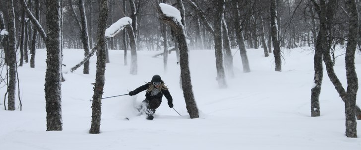 Foto: Benjamin. Åkare: Henke Norin.