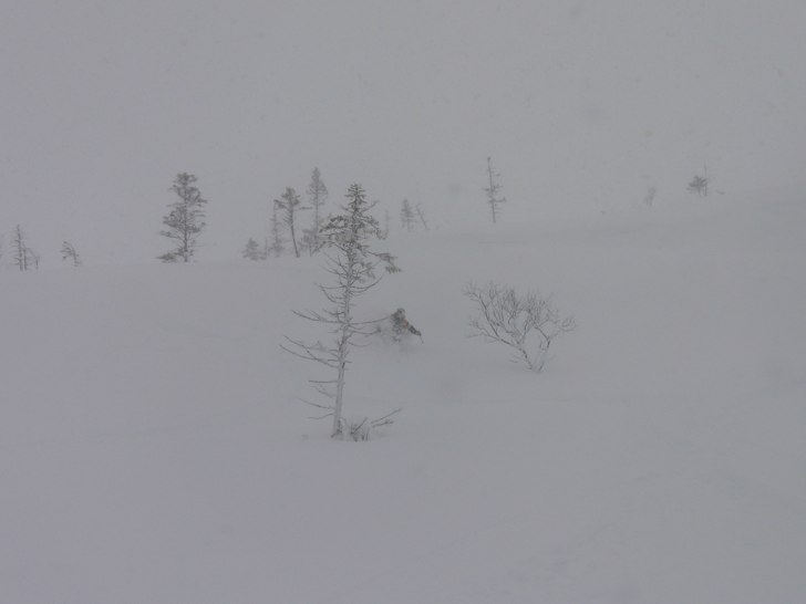 Foto: madelene jonsson. Åkare: ville berg-malmborg.