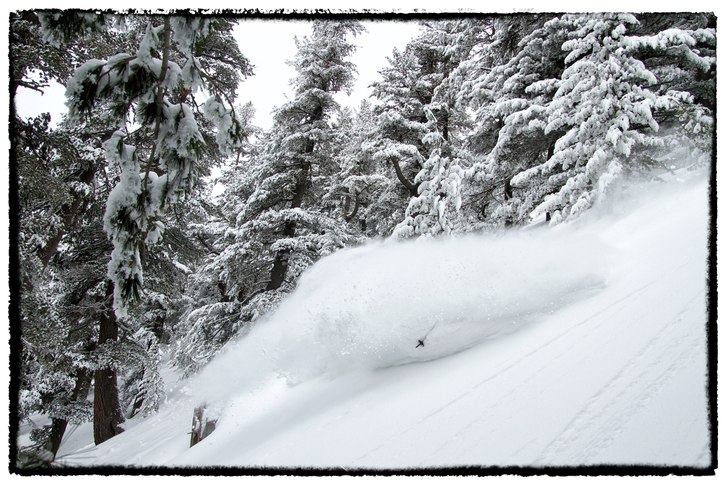 En vänstersväng i magic forest.. Foto: Ola Melin. Åkare: Johan Åkesson.