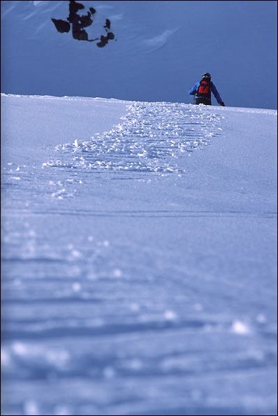 Foto: Daniel Johansson. Åkare: Rickard Ljunggren.