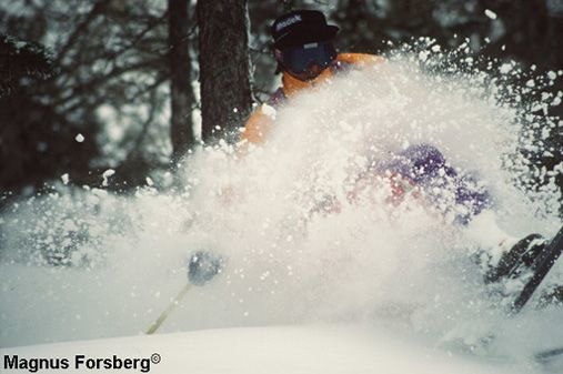 Foto: Magnus Forsberg.