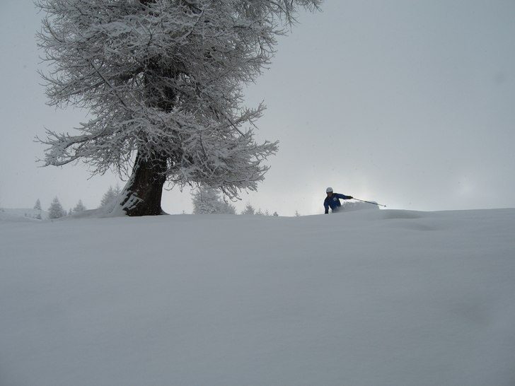 Foto: Patrik. Åkare: David.