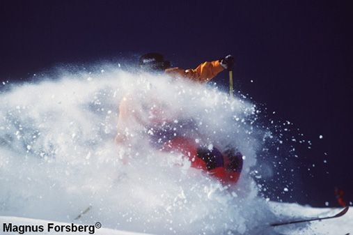 Foto: Magnus Forsberg.