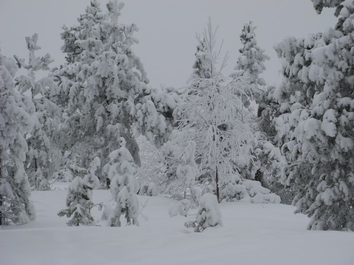 Foto: calle andersson.