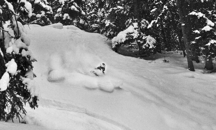 Foto: David Gärdshagen. Åkare: Martin Johansson.