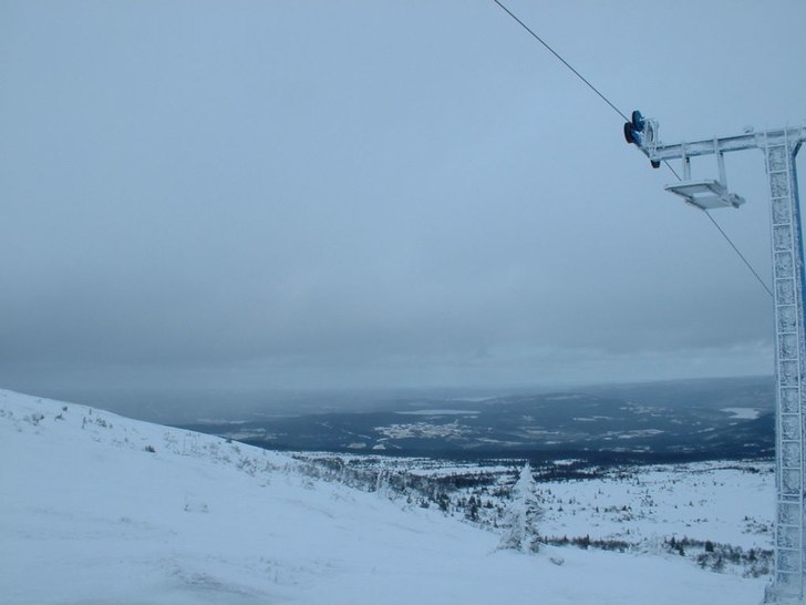 Foto: Niklas Ericsson.