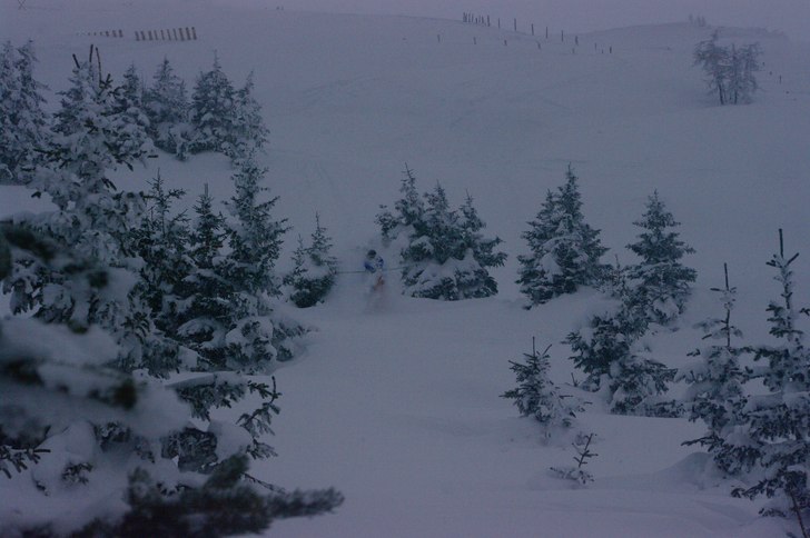 Såg två granar att åka mellan, tog fart och hop. Foto: Kristoffer Martens.