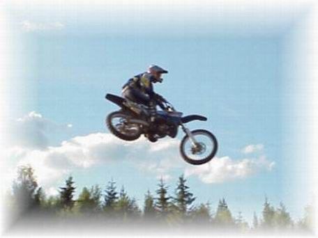 Bilden används som enterlogga till Natursidan, ko. Foto: Unknown. Åkare: Jag...