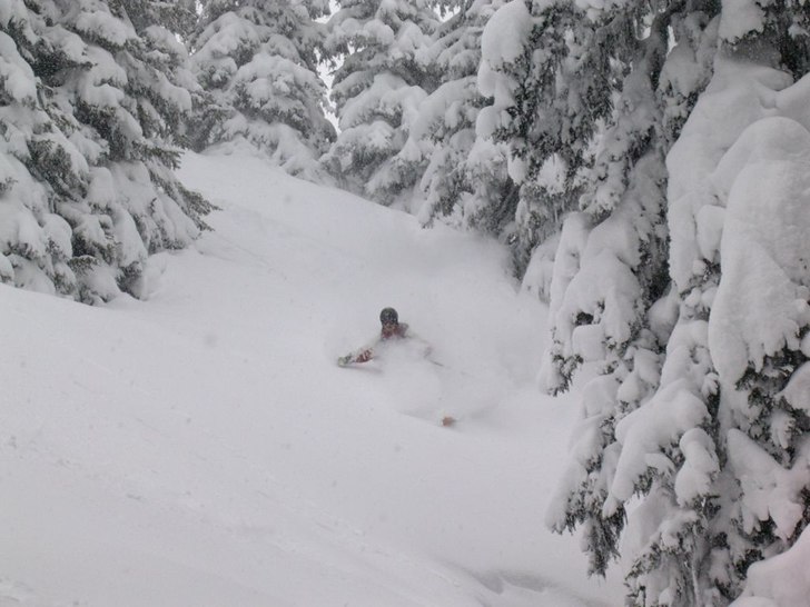 Erik på väg genom ner skogen i Madrisa, Davos, e. Foto: Emma Östling. Åkare: Erik Isberg.