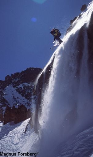 Foto: Magnus Forsberg.