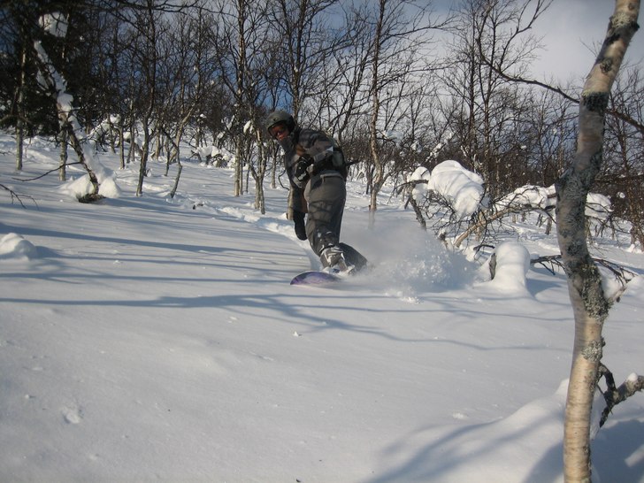 Foto: T Rydberg. Åkare: Elin Nordh.