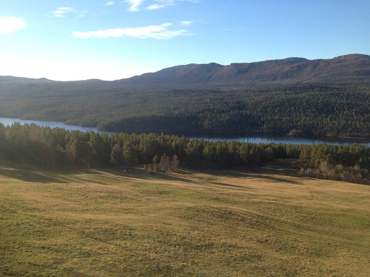 Grunnpreparering :)
Ser du nøye på bildet ser du.