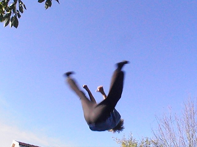 Foto: Patte. Åkare: Matte.