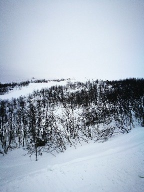 Beitostølen skiheiser 
Velkommen til Beitostølen.