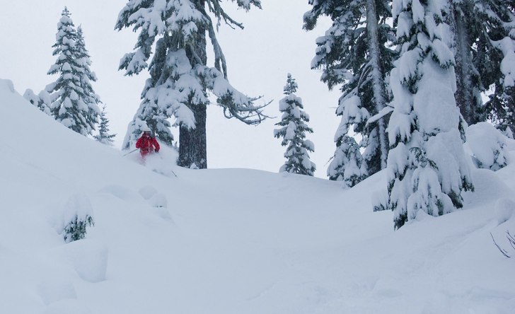 Foto: Nils Hallgren. Åkare: Mattias Fredler.