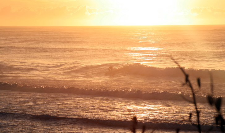 Rörliga bilder
http://www.freeride.se/video/kiwi. Foto: Tomas Almbo. Åkare: Local.