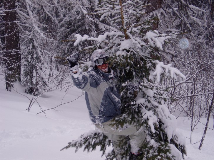 Träbestigning. Foto: Patrik. Åkare: Rikard.