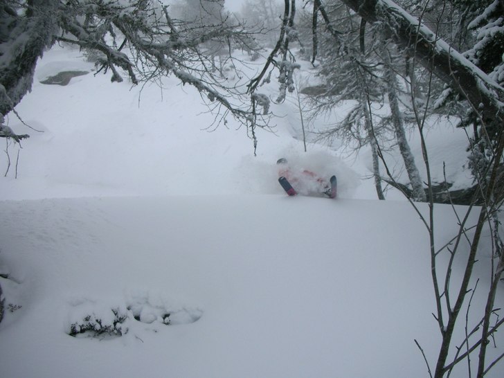 Puderfrossa i skogen. Foto: Viktor Sundvall. Åkare: Sebastian Westberg.