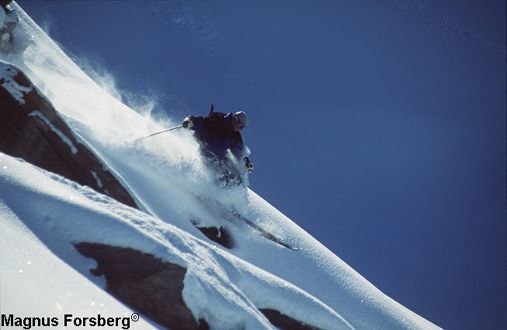 Foto: Magnus Forsberg.