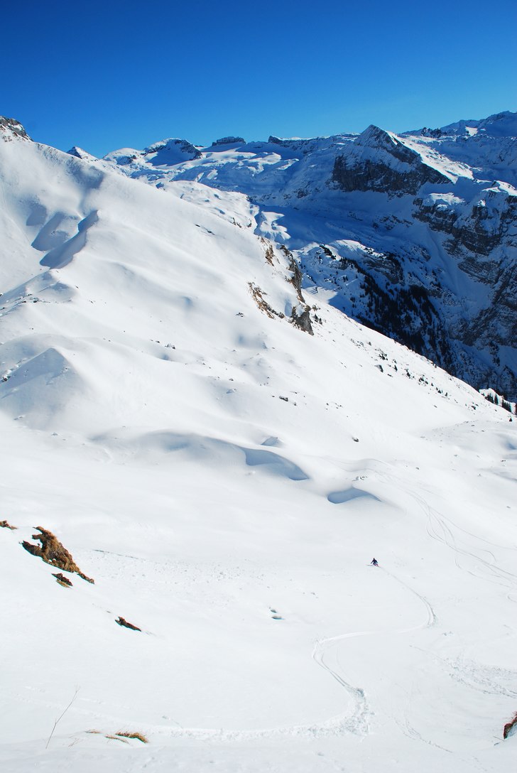 Foto: Hampus. Åkare: Stefan Hellberg.