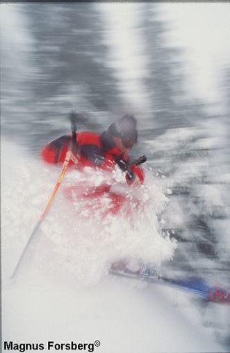 Foto: Magnus Forsberg.