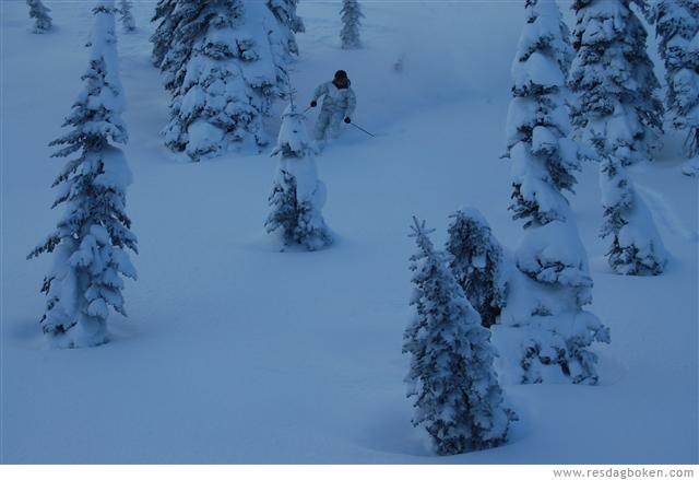 Foto: Vegard Birkeland. Åkare: Hein B. Irgens.