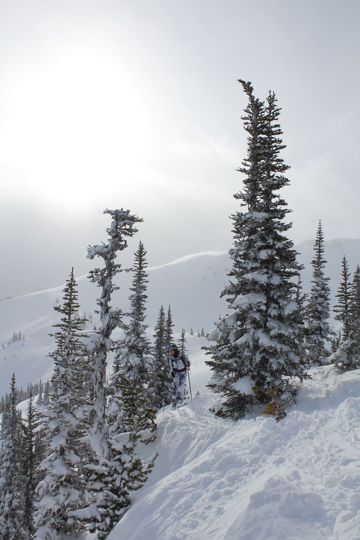 Foto: Christer Hällare. Åkare: Sara Schützer.