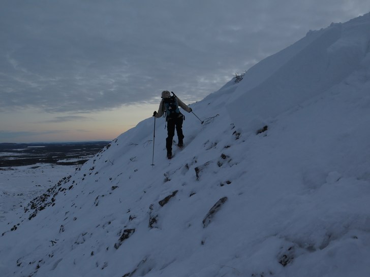 I början av säsongen släpper lätt snön på de. Foto: tryggve tirén.