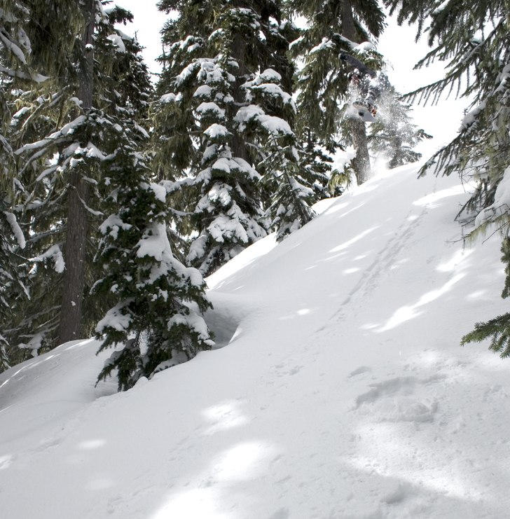 Skjuter ut mig själv bland träden i Khyberskogen. Foto: Per Nyberg. Åkare: Emil Rydell.