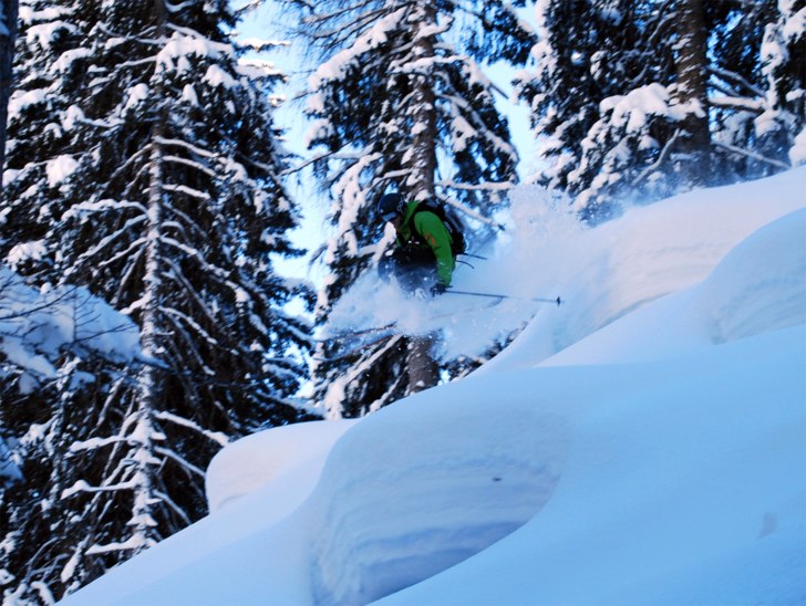 Skogsåkning i Schöngraben. Foto: Jimmy Andersson. Åkare: Jesper Nilsson.
