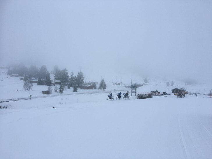 Fredag 10.Mars
-1 grad og snøvær. Det har komt 5.