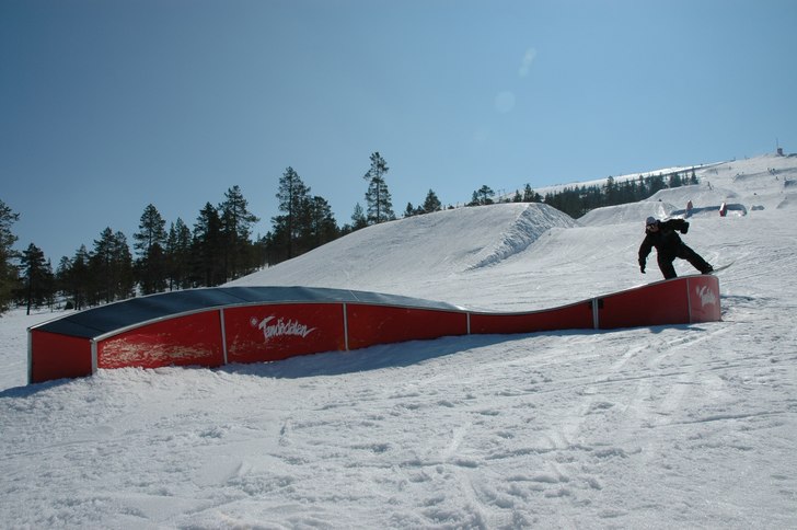 Foto: Carolina person. Åkare: Martin Olson.
