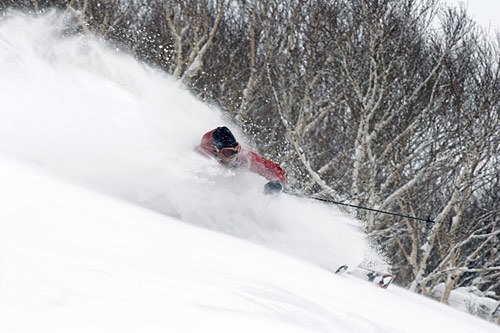 Foto: Andreas Berggren. Åkare: Gaute Fonkalsrud.