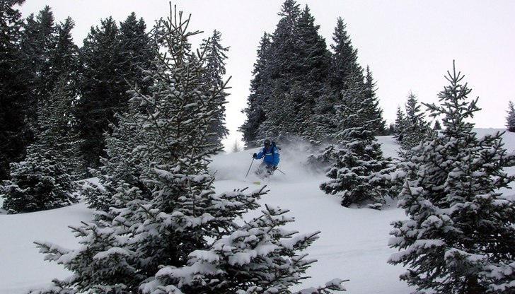 Spårar i Gotschna utan konkurrens... =). Foto: Kristofer Hallgren. Åkare: Johan Jönsson.