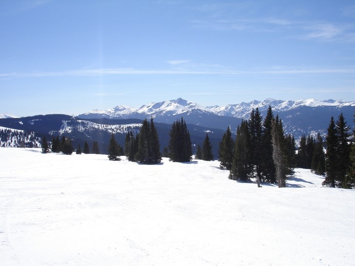 Foto: Magnus Larsson.