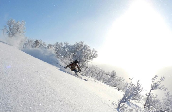 Nysnö, vindstilla och sol i Åre, plötsligt hän. Foto: Alexandra Hafmar. Åkare: Linn Oredson.