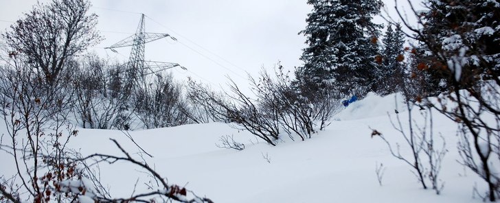 Foto: Marcus Tietjens. Åkare: Marcus Tietjens.
