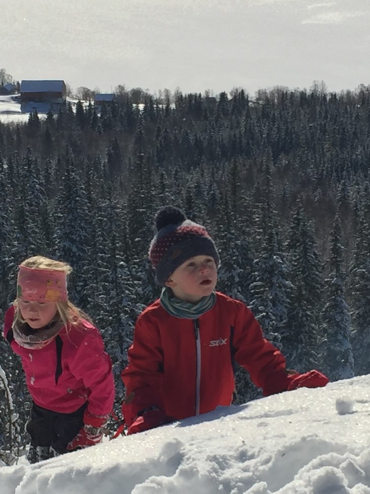 Småtroll i skogen????????
.