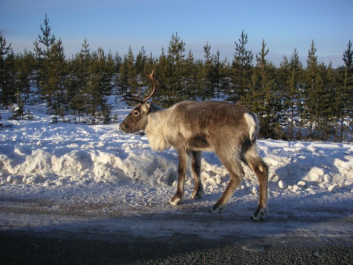 Foto: Andrea Elmelid.