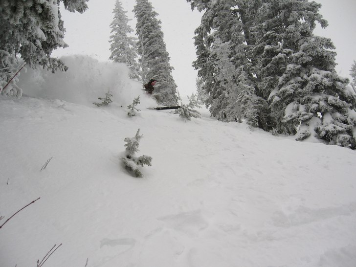 Foto: Johan tapani. Åkare: Martin kobb.
