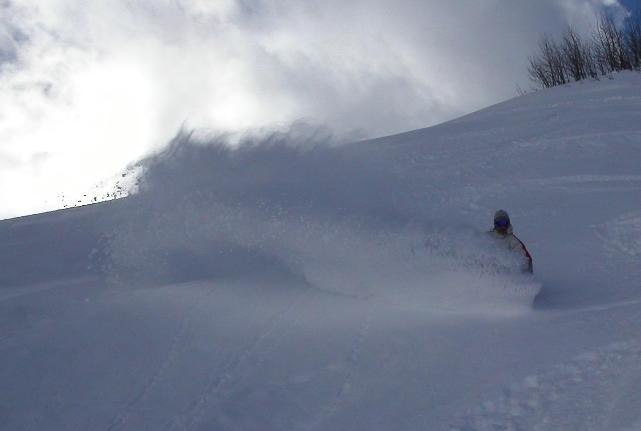 Fluff!!. Foto: Elin. Åkare: Rydas.