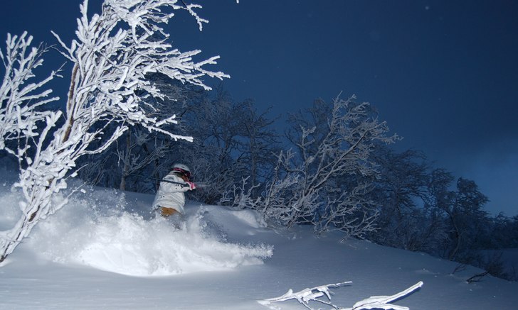 Foto: johan olsson. Åkare: hanna skogsberg.