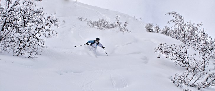 Foto: Felix Grunert. Åkare: Rikard Lindblad.