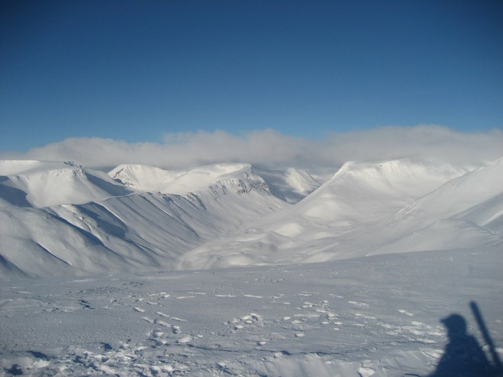 Foto: Alex karlsson.