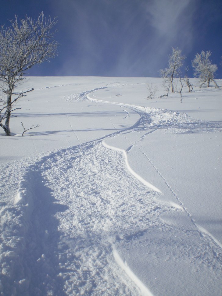 Foto: Oscar Gustavsson.